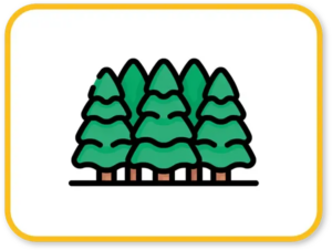 Forestry