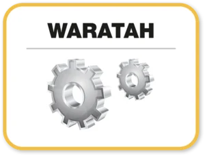 Waratah